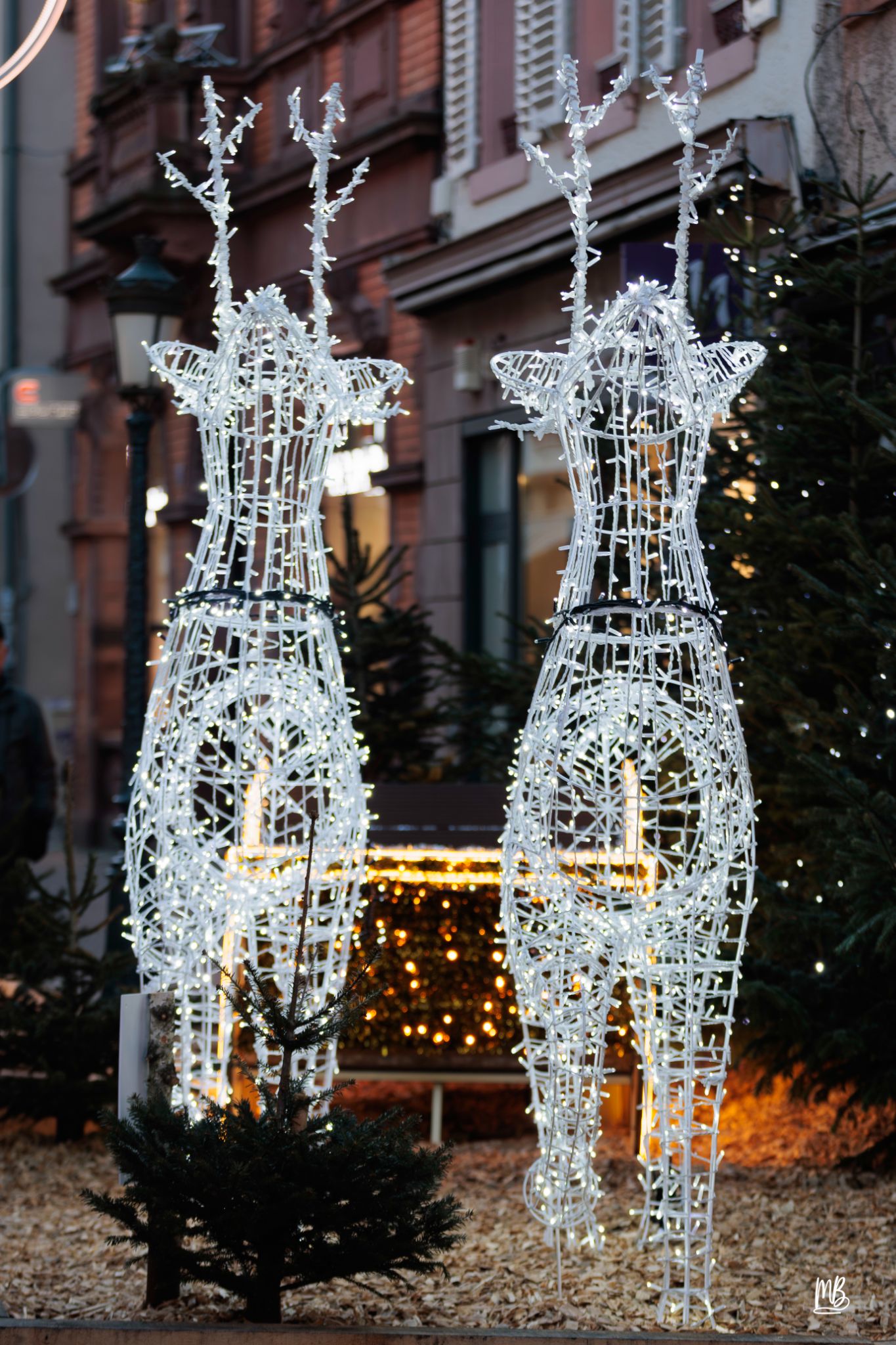 20241129 Noël à Haguenau MB (49 sur 114)